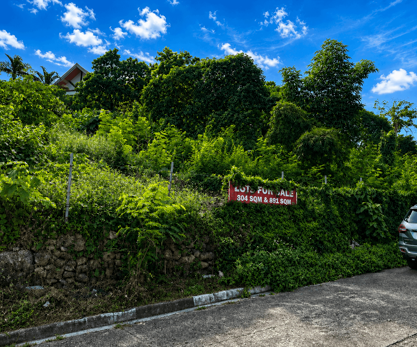 Prime Adjacent Lots in Sunny Hills | Talamban
